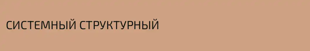 СИСТЕМНЫЙ СТРУКТУРНЫЙ